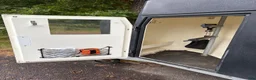 Hästtransporter  fordon & transport till salu: Böckmann comfort 2010 - Annons 9