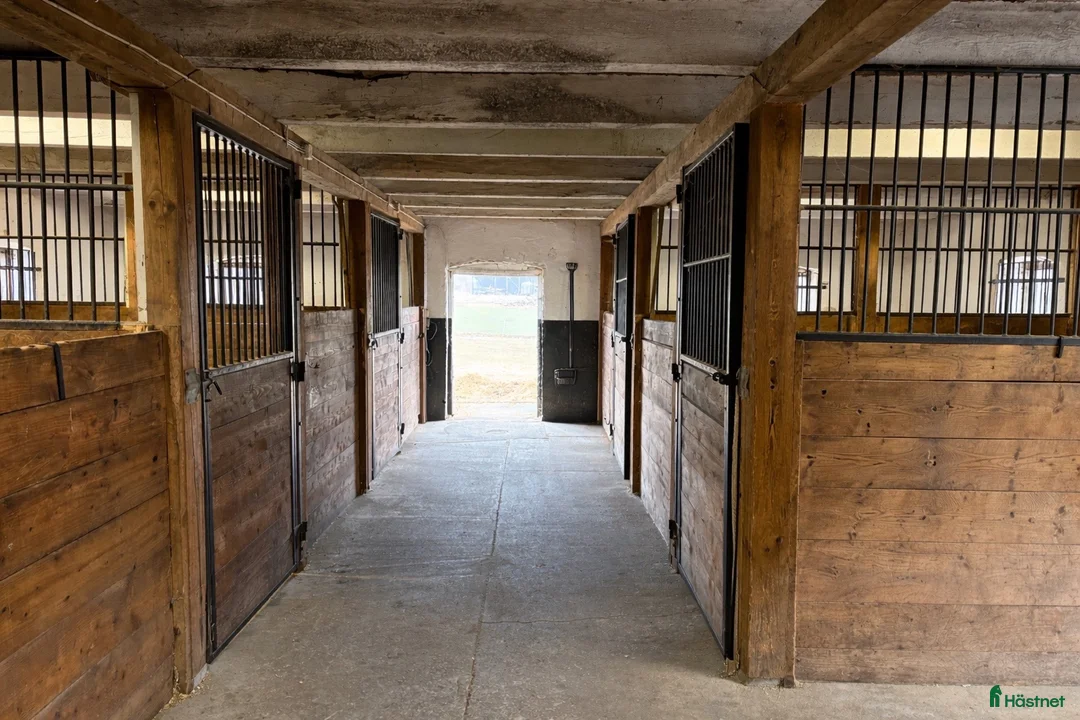  stallplats finnes: Litet lugnt stall i Halmstad - Annons 2