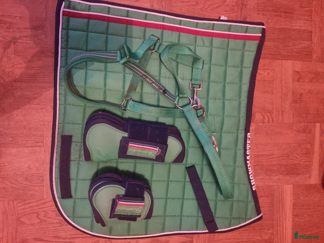 Schabrak & Vojlockar hästutrustning till salu: Schabrak full  i Nybro - Annons 2