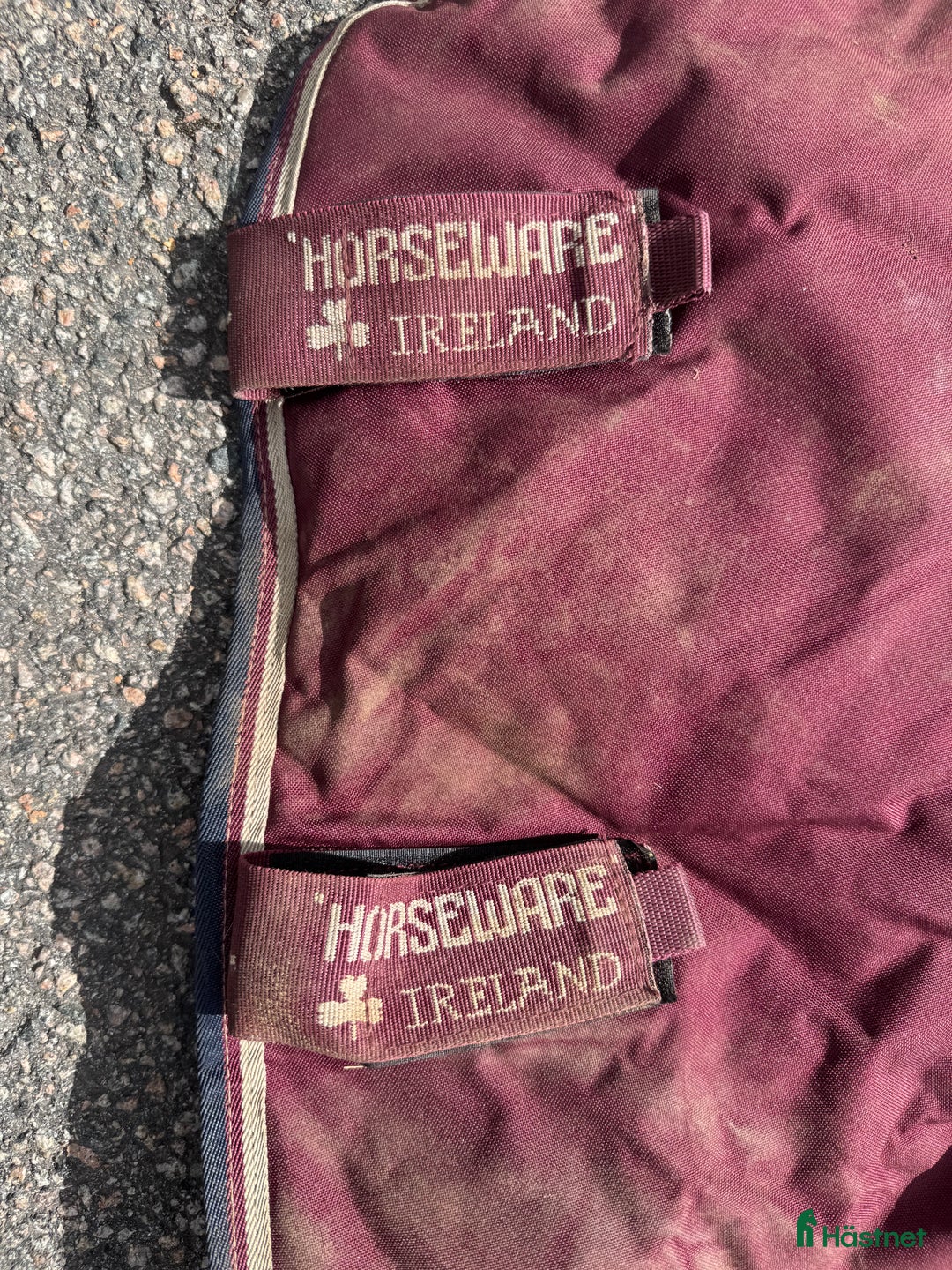 Täcken hästutrustning till salu: Amigo Hero 6 Plus 350g täcke  i Tolg - Annons 2