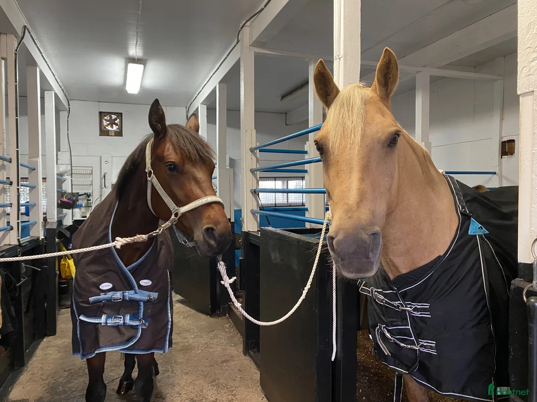  stallplats finnes: Stallplatser i vackra Grödinge - Annons 7