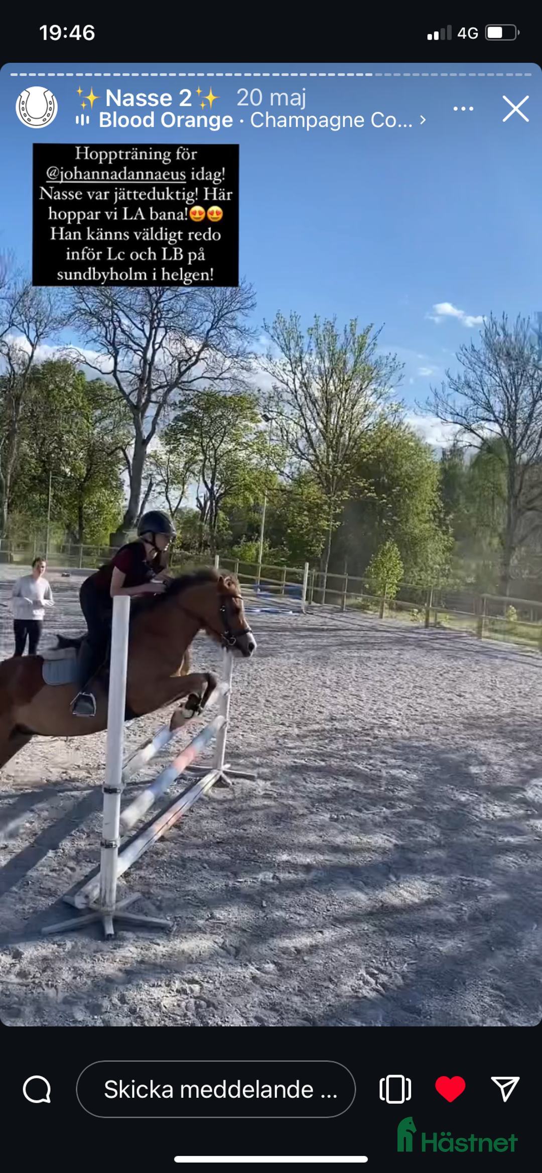 Hoppning hästar till salu: Tävlingsponny i Strängnäs - Annons 2