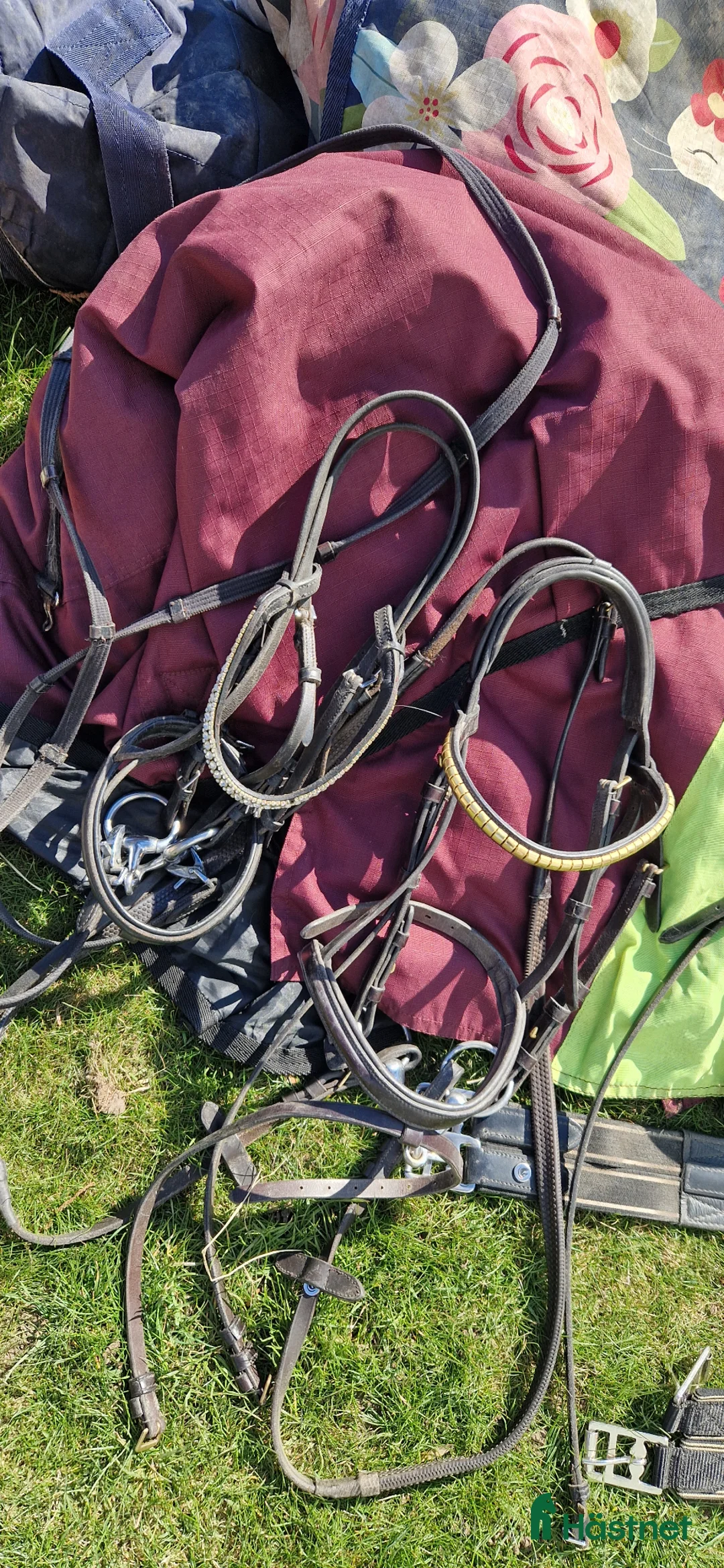 Täcken hästutrustning till salu: Paket Ponny utrustning i Löberöd - Annons 1