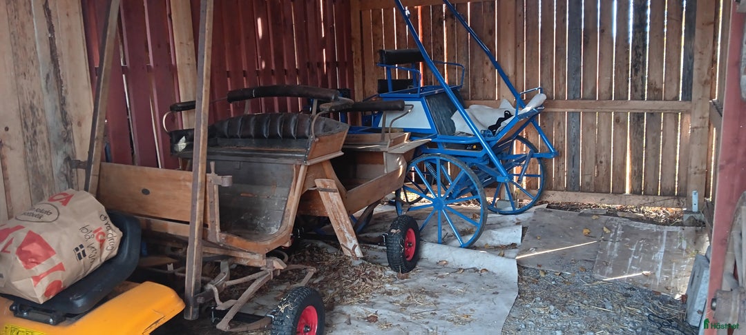 Allround hästar till salu: Välarbetad unghäst  i Östansjö - Annons 3