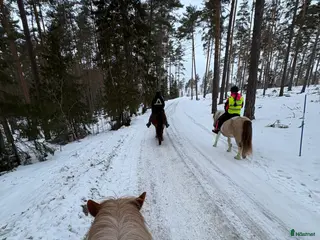 stallplats Lösdriftsplats på Malmby Gård - Annons 12