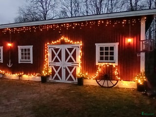 stallplats Svenljunga i Svenljunga - Annons 8