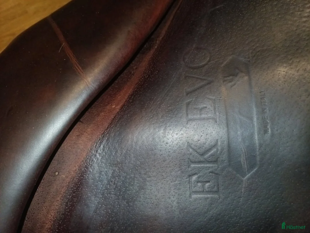 Sadlar hästutrustning till salu: Equipe Ek Evo i Åsele - Annons 5