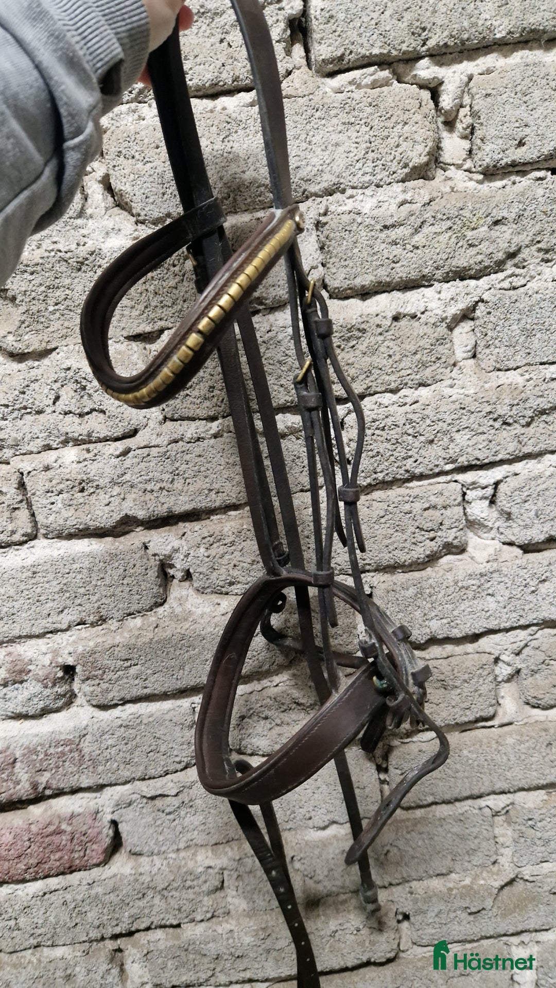 Träns hästutrustning till salu: Olika träns storlek cob i Umeå - Annons 9