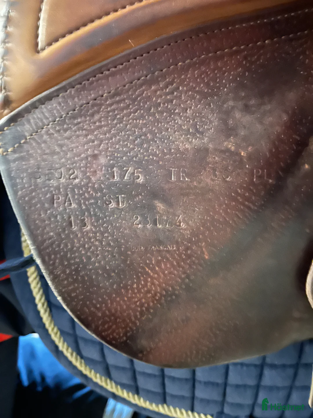 Sadlar hästutrustning till salu: Cwd Se02 17,5 tum. - Annons 3