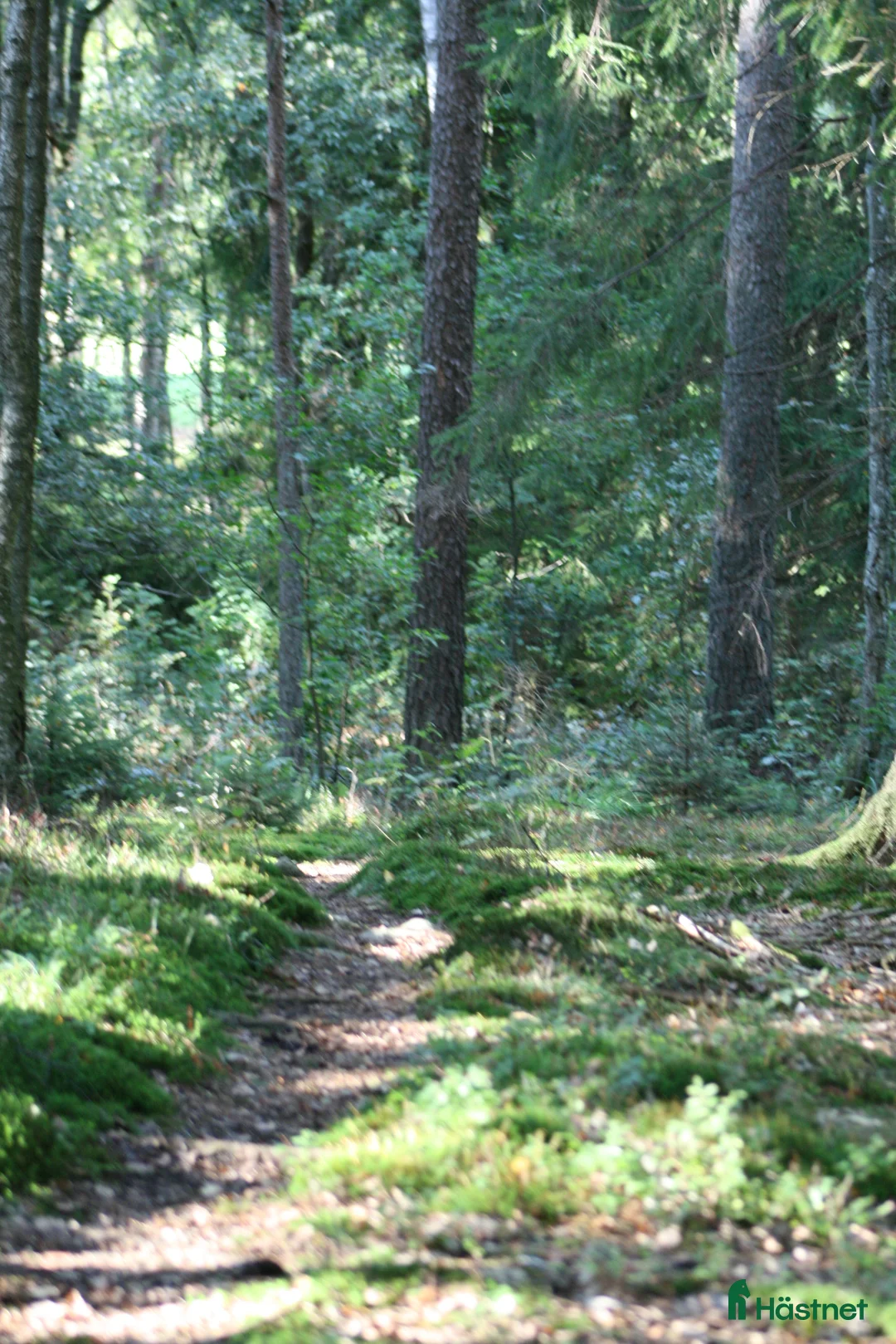 Galleribild {{count}}