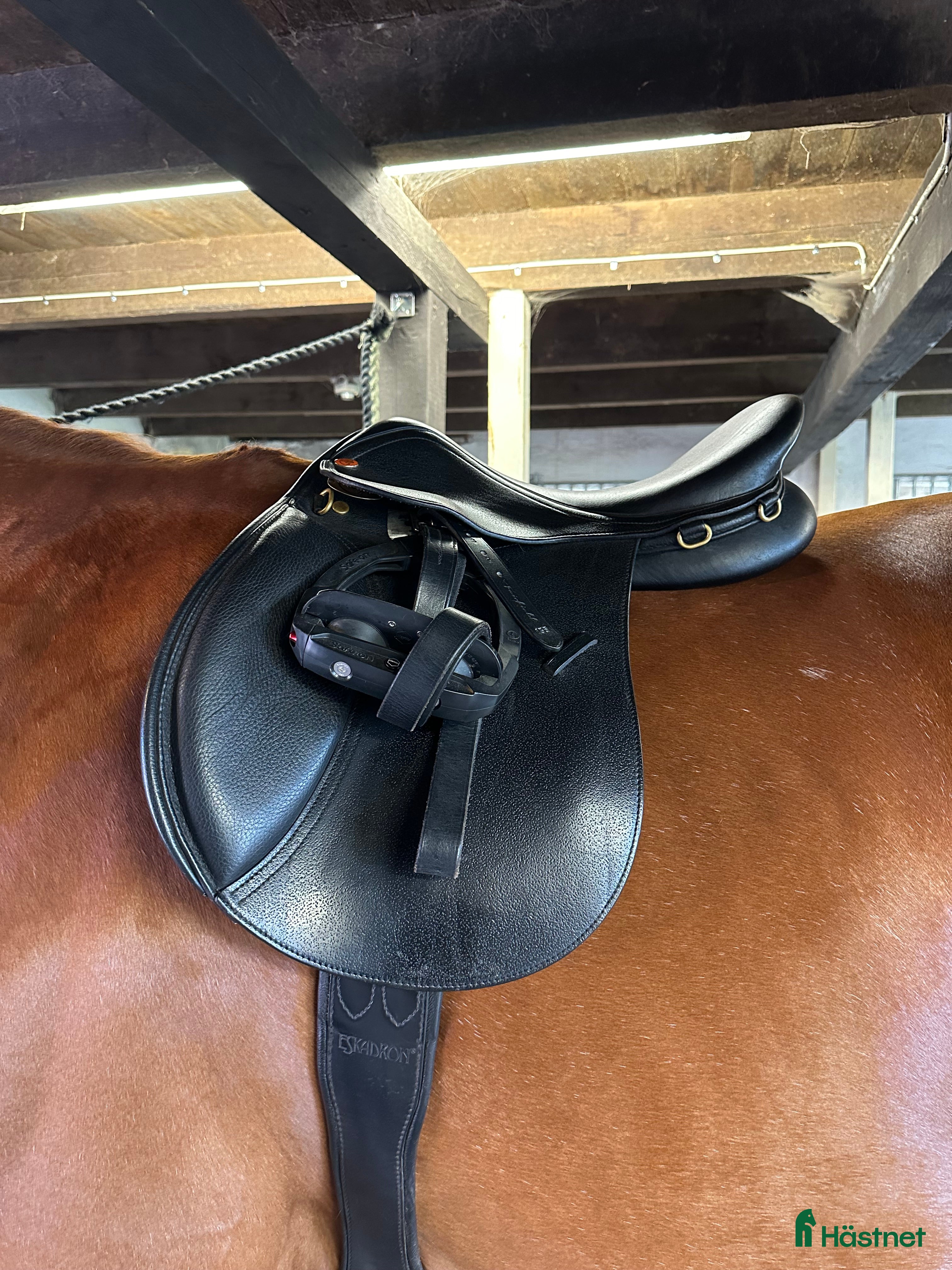 Sadlar hästutrustning till salu: Fin allround sadel i Vittskövle - Annons 2