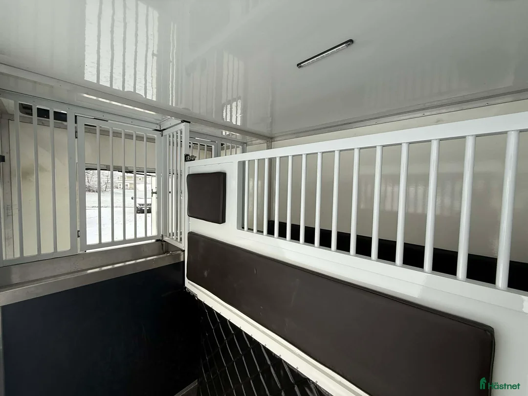 Hästlastbilar  fordon & transport till salu: NORDIC HORSE 5 *LASTVIKT 1000KG* i Köping - Annons 7