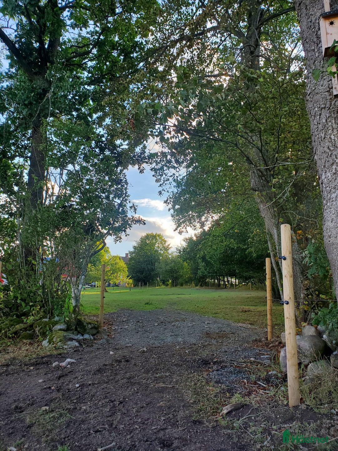  stallplats finnes: Stallplats i Askeröd  i Hörby - Bild 5