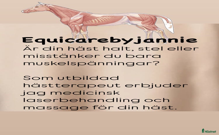  hästservice i Oxie - Annons 13