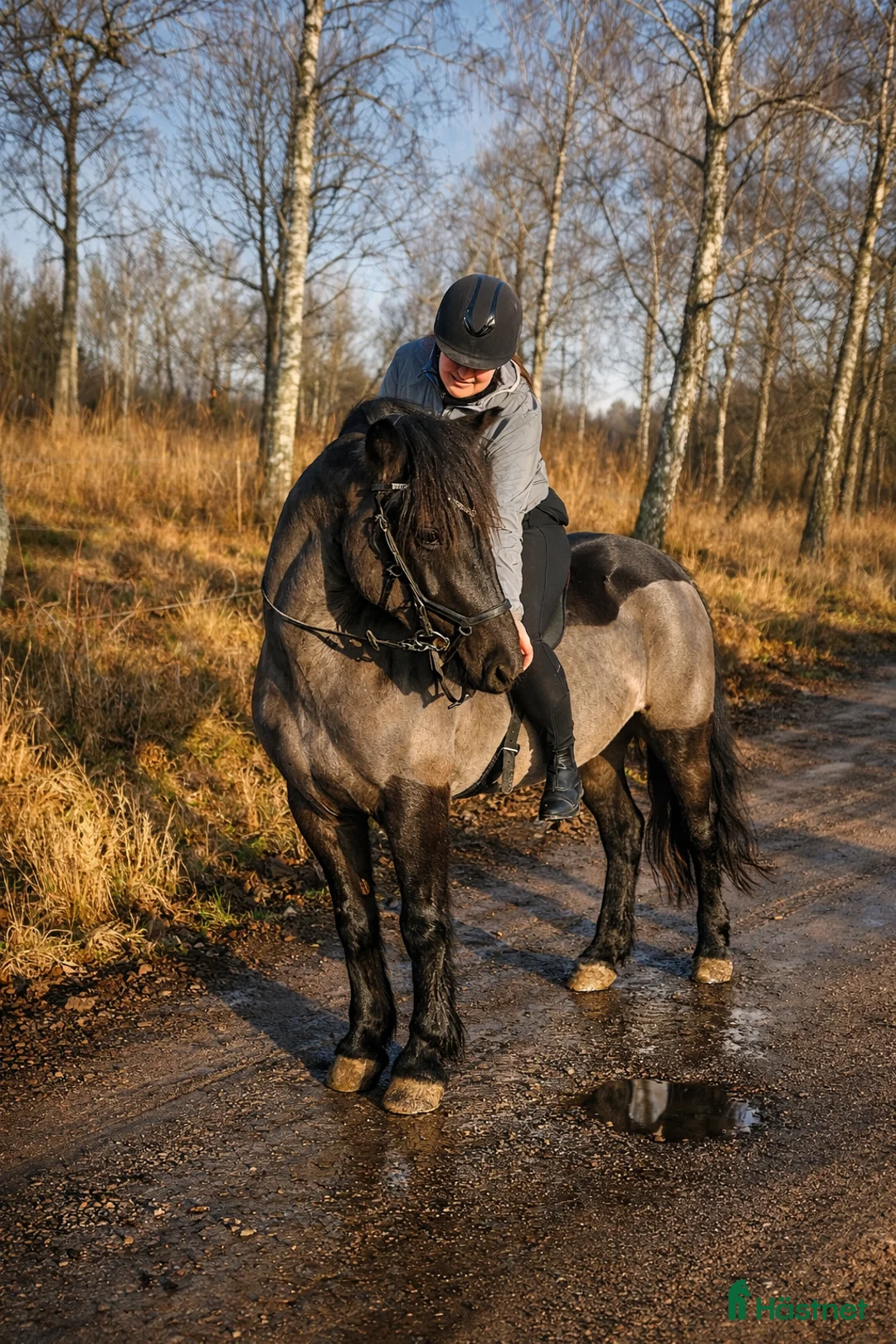 Galleribild {{count}}