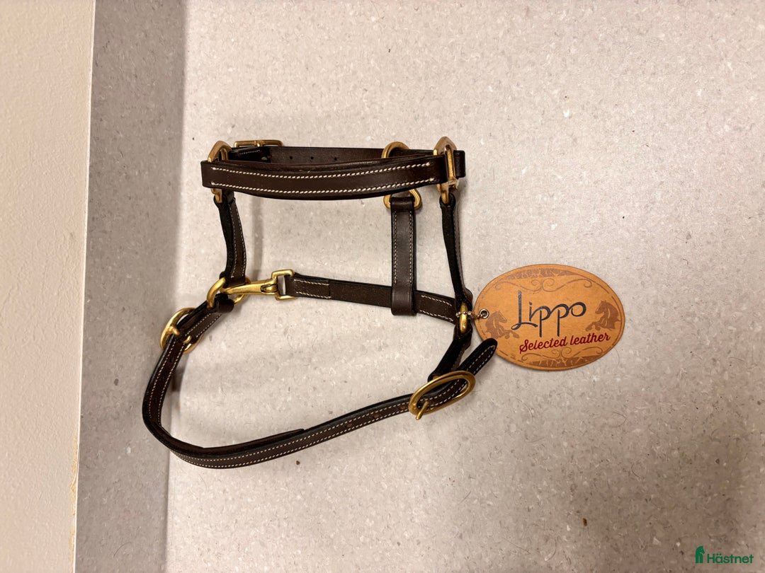 Träns hästutrustning till salu: Lippo fölgrimma brun  i Växjö - Annons 1