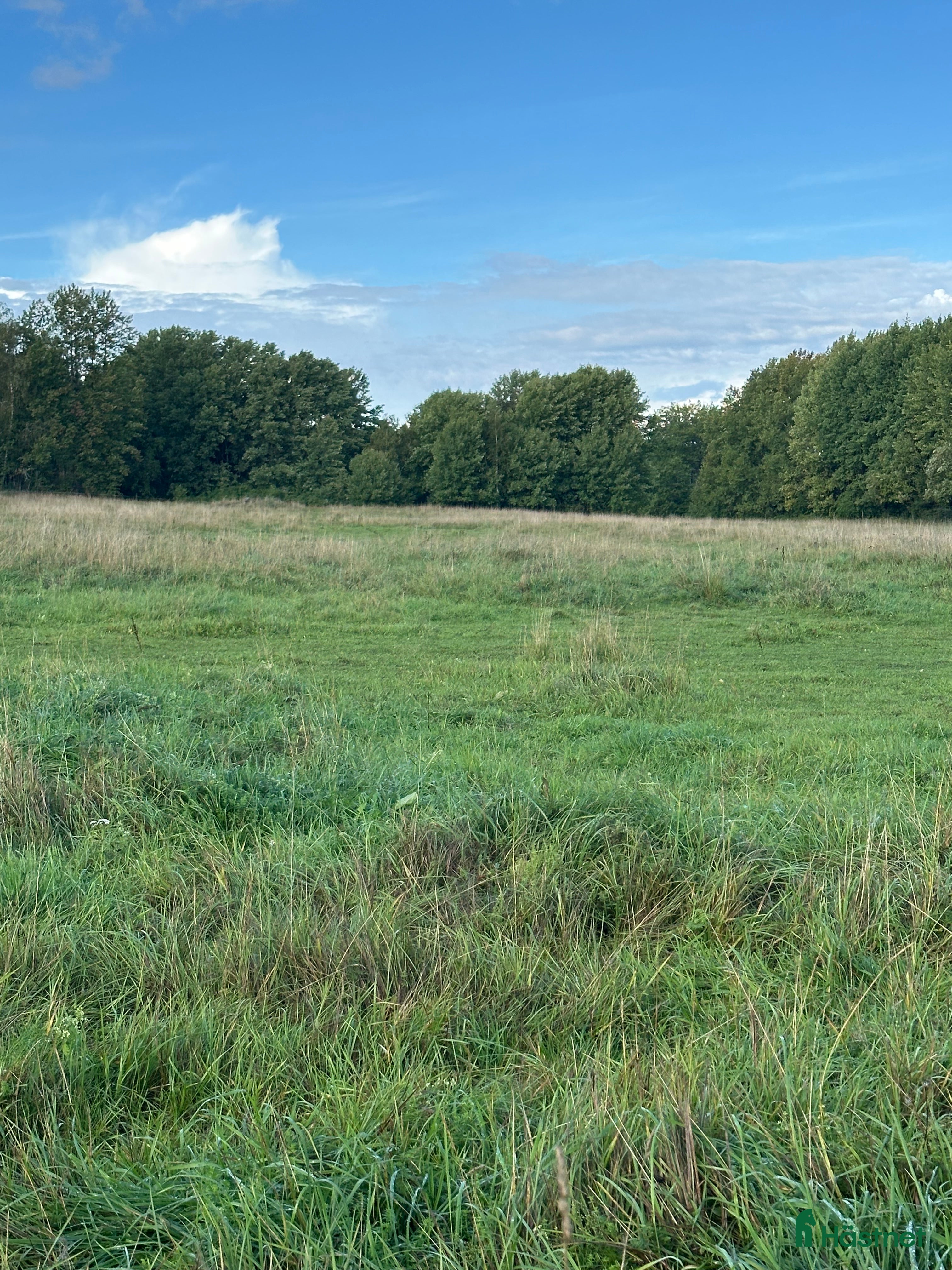  stallplats finnes: Lösdrifts plats finnes i Upplands Väsby - Annons 2