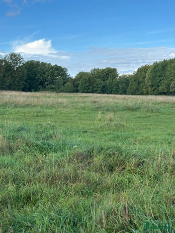 stallplats i Upplands Väsby - Annons 18