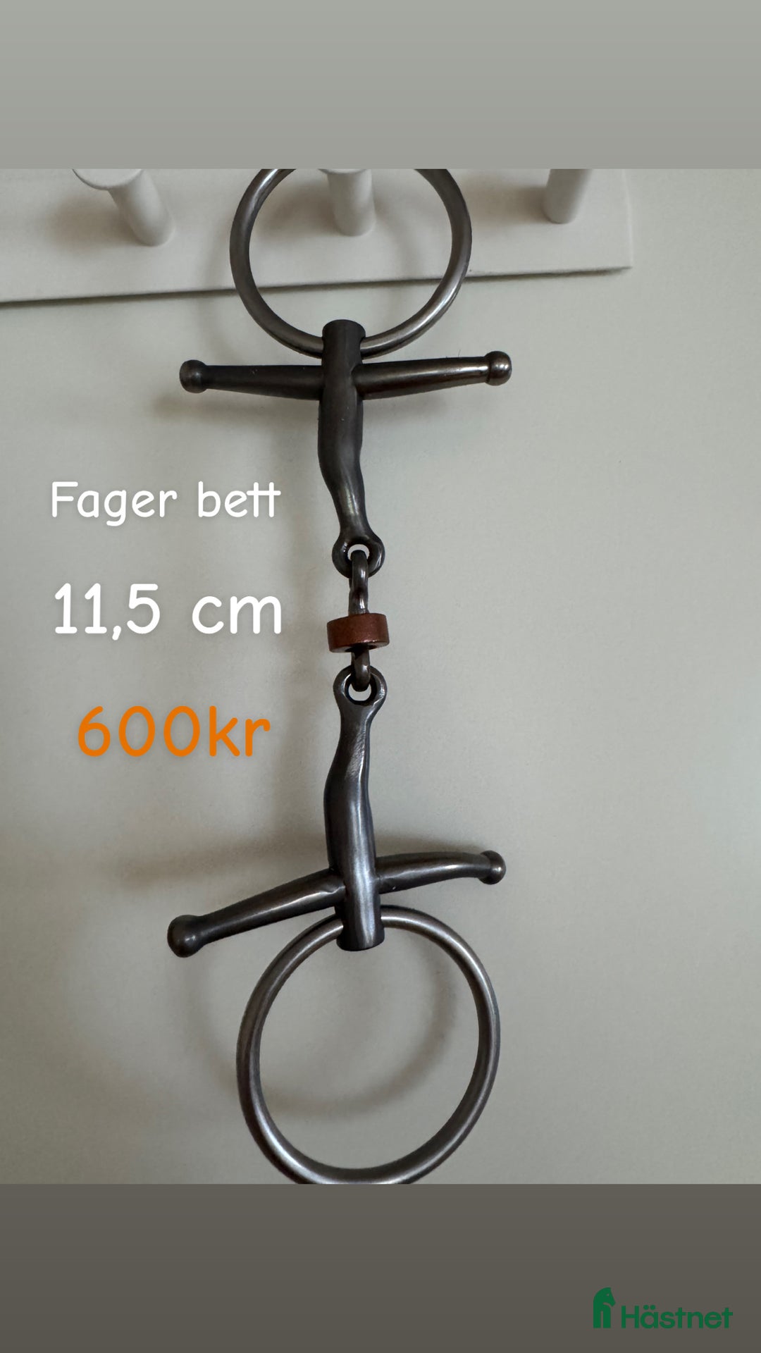 Övrig Hästutrustning hästutrustning till salu:  Samshield  Pikeur Fager Ariat Uhip MayaDelores i Hjälteby - Annons 15