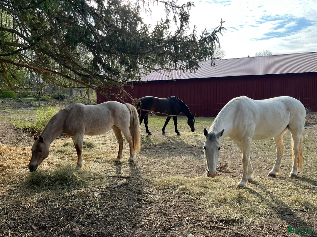 Galleribild {{count}}