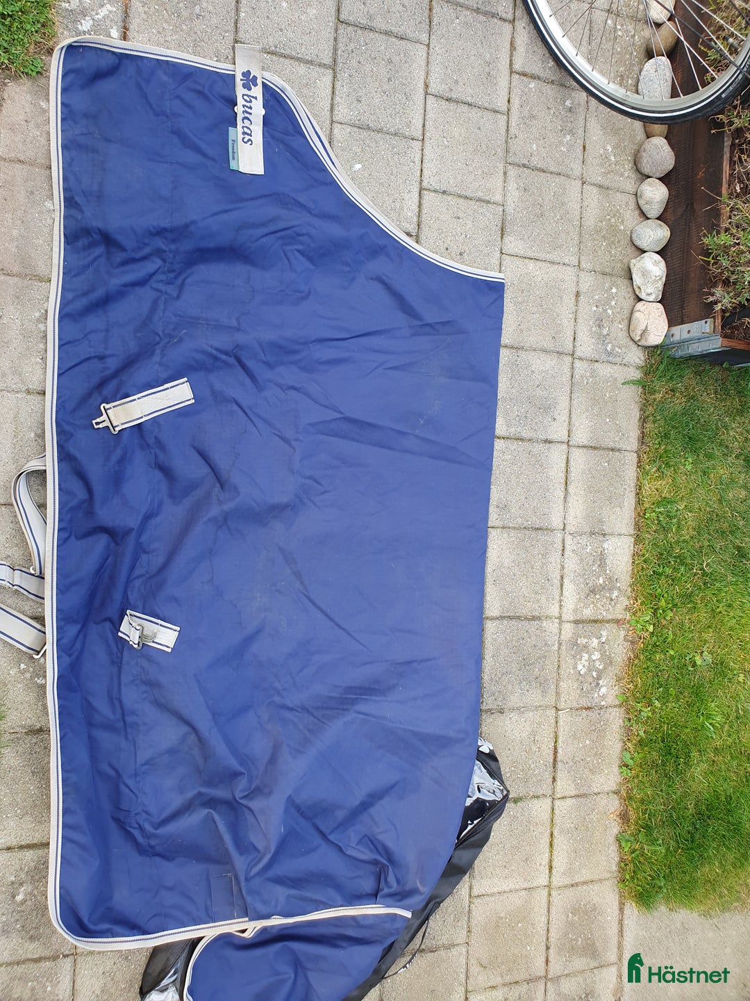 Täcken hästutrustning till salu: Bucas Freedom  i Helsingborg - Annons 1