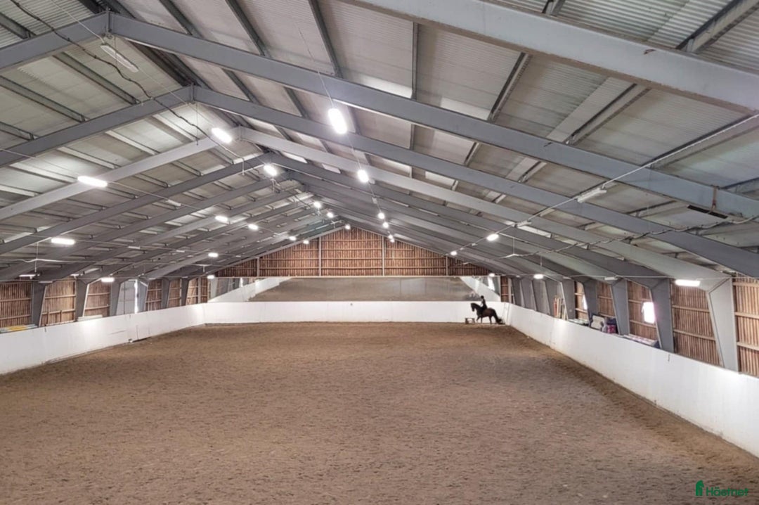  stallplats finnes: En box kvar på Almare Stäket! i Kungsängen - Annons 1