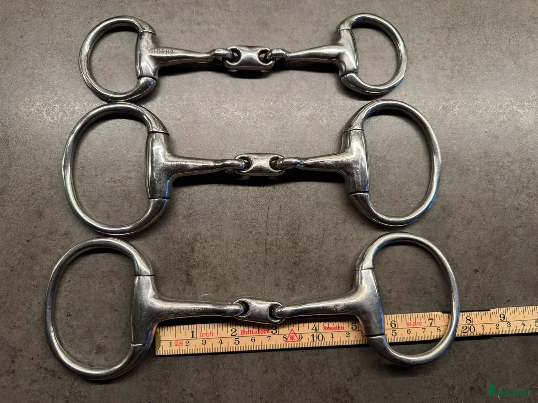 Bett hästutrustning till salu: Globus bett olika storlekar i Älvsjö - Annons 1