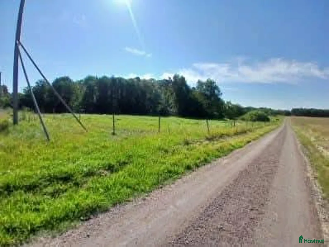  stallplats finnes: Stallplatser i litet mysigt stall i Norrköping i Norrköping - Annons 5