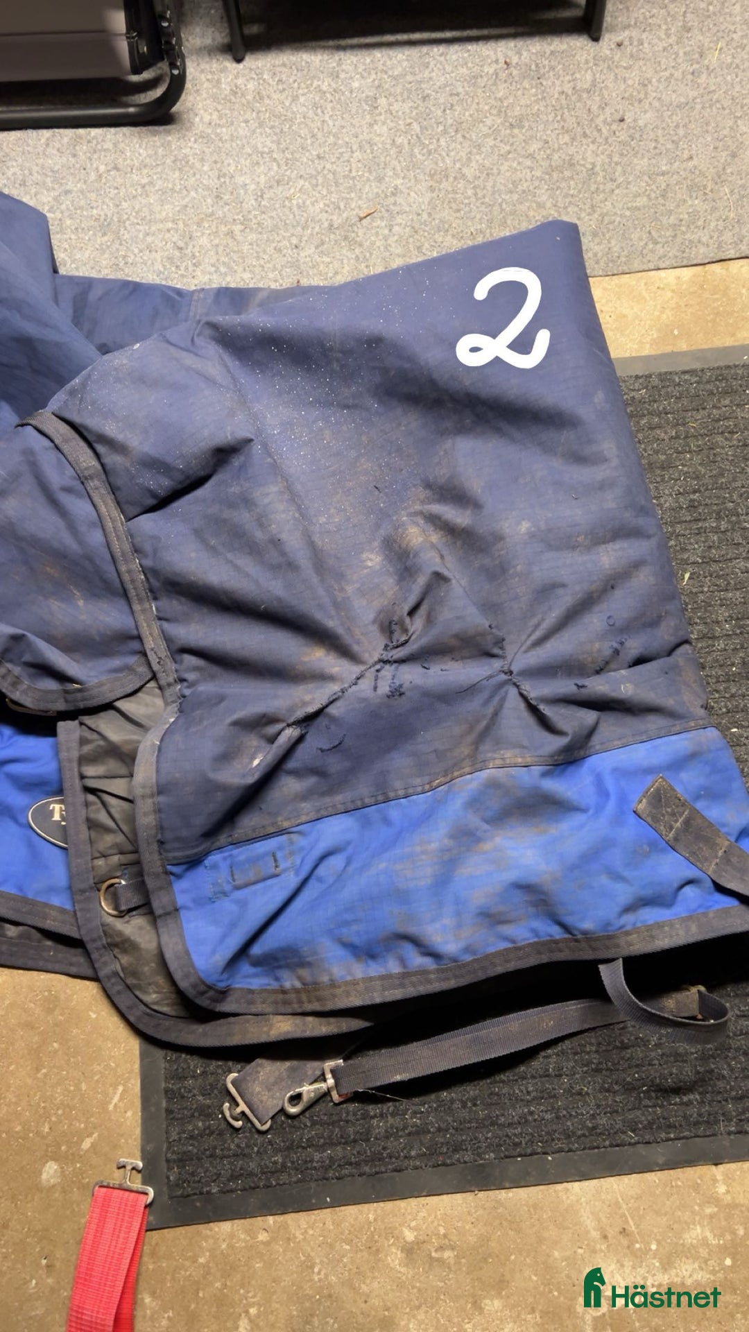 Täcken hästutrustning till salu: Täcke strl 115 i Sturefors - Annons 2