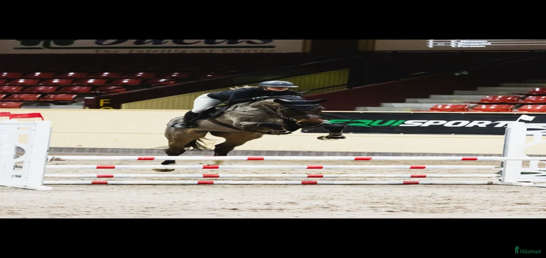 Galleribild {{count}}