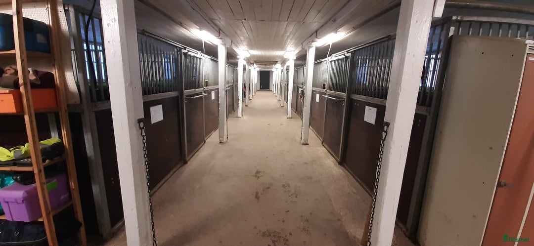  stallplats finnes: Lediga boxar nära Arlanda i Arlandastad - Annons 6