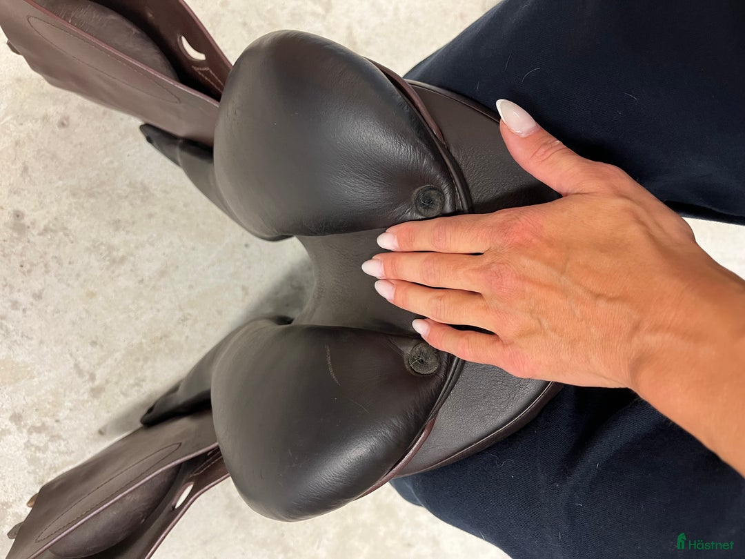 Sadlar hästutrustning till salu: Prestige Roma II i Ystad - Annons 5