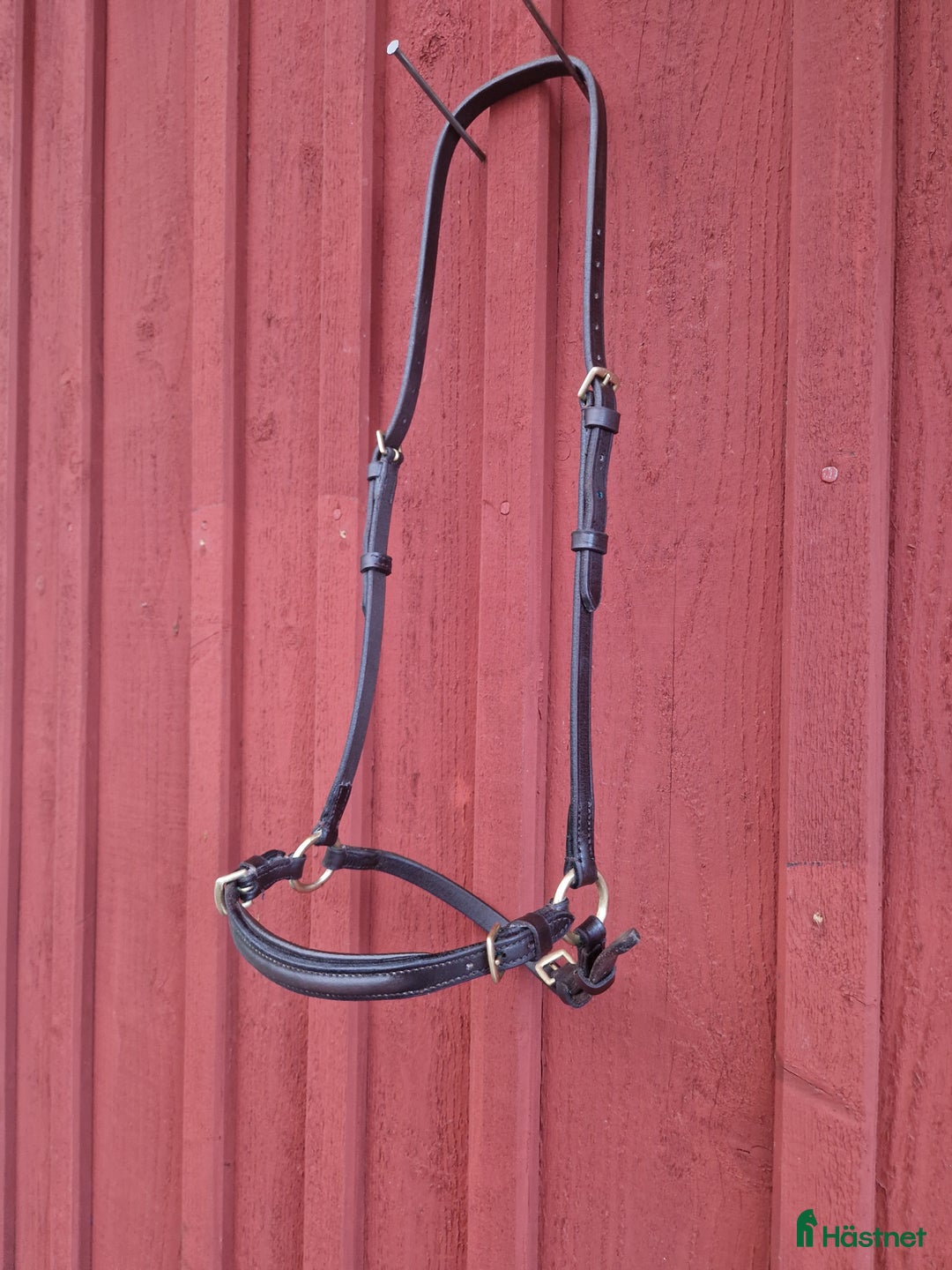 Träns hästutrustning till salu: Massor av träns och tränstillbehör  i Rejmyre - Annons 11