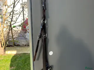 Övrig Hästutrustning hästutrustning Förbygel - Annons 4