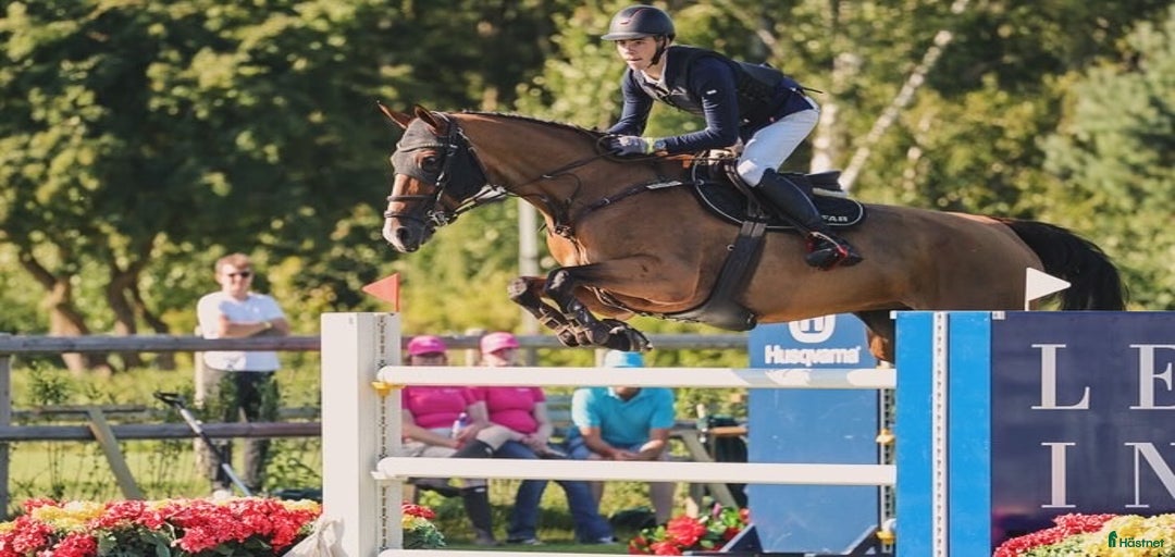 Galleribild {{count}}