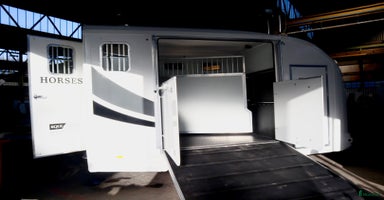 Hästtransporter  fordon & transport till salu i Teckomatorp - Annons 15