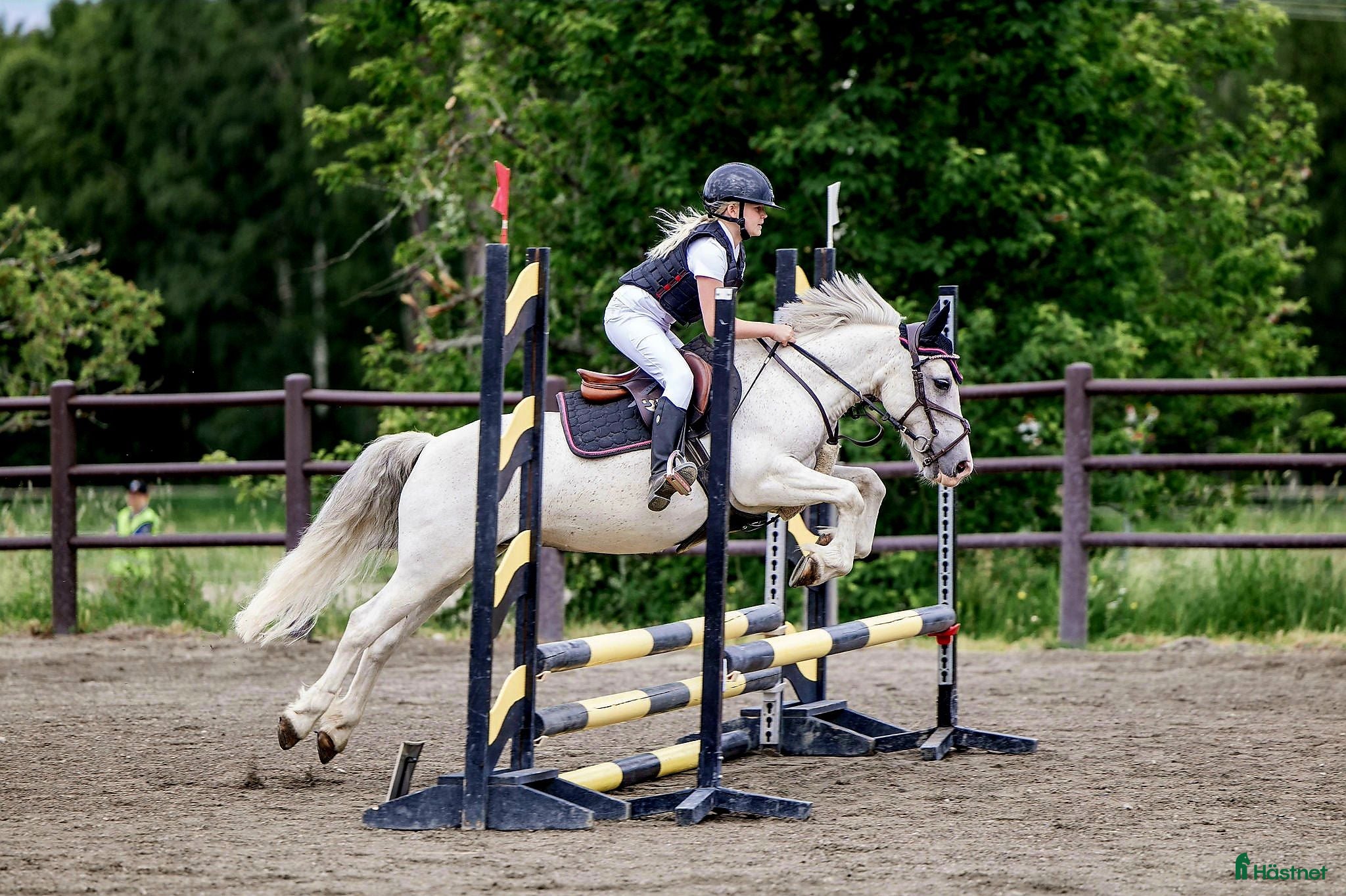  hästar Charmig B-ponny söker nästa bästa vän ❤️ - Annons 10