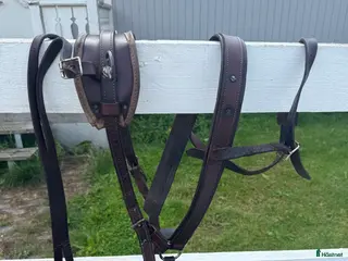 Övrig Hästutrustning hästutrustning Ponny sele brun i Linköping - Annons 15