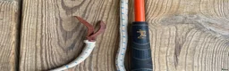 Övrig Hästutrustning hästutrustning till salu: Carrotstick  - Annons 1