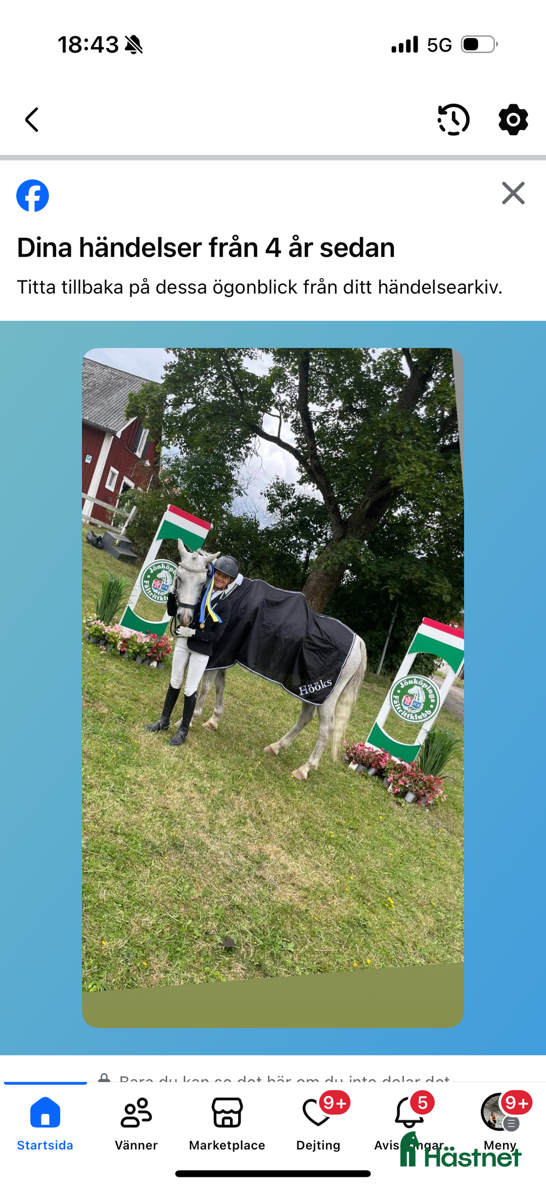 Dressyr hästar till salu: Drömponny för den lilla ryttaren i Norrköping - Annons 11