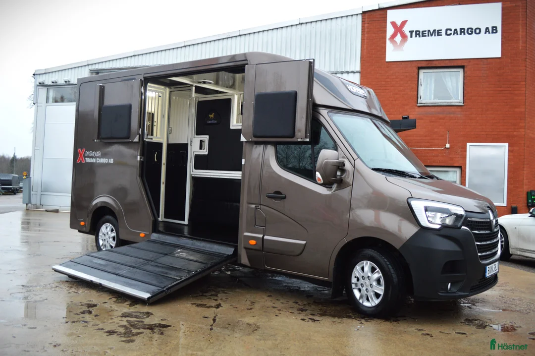 Hästlastbilar  fordon & transport till salu: Ameline Stuteri Demoex 2024 ca1200mil - Annons 2