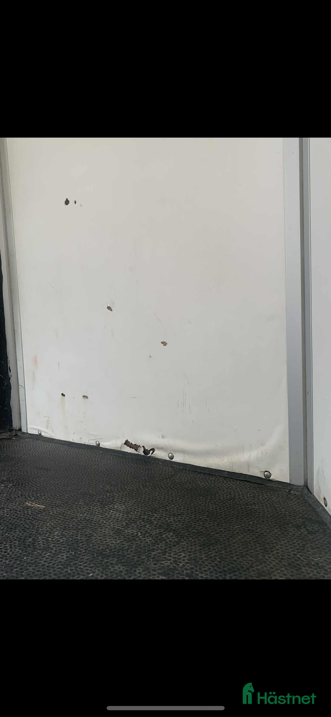 Hästtransporter  fordon & transport till salu: Hästtransport  i Alingsås - Annons 7