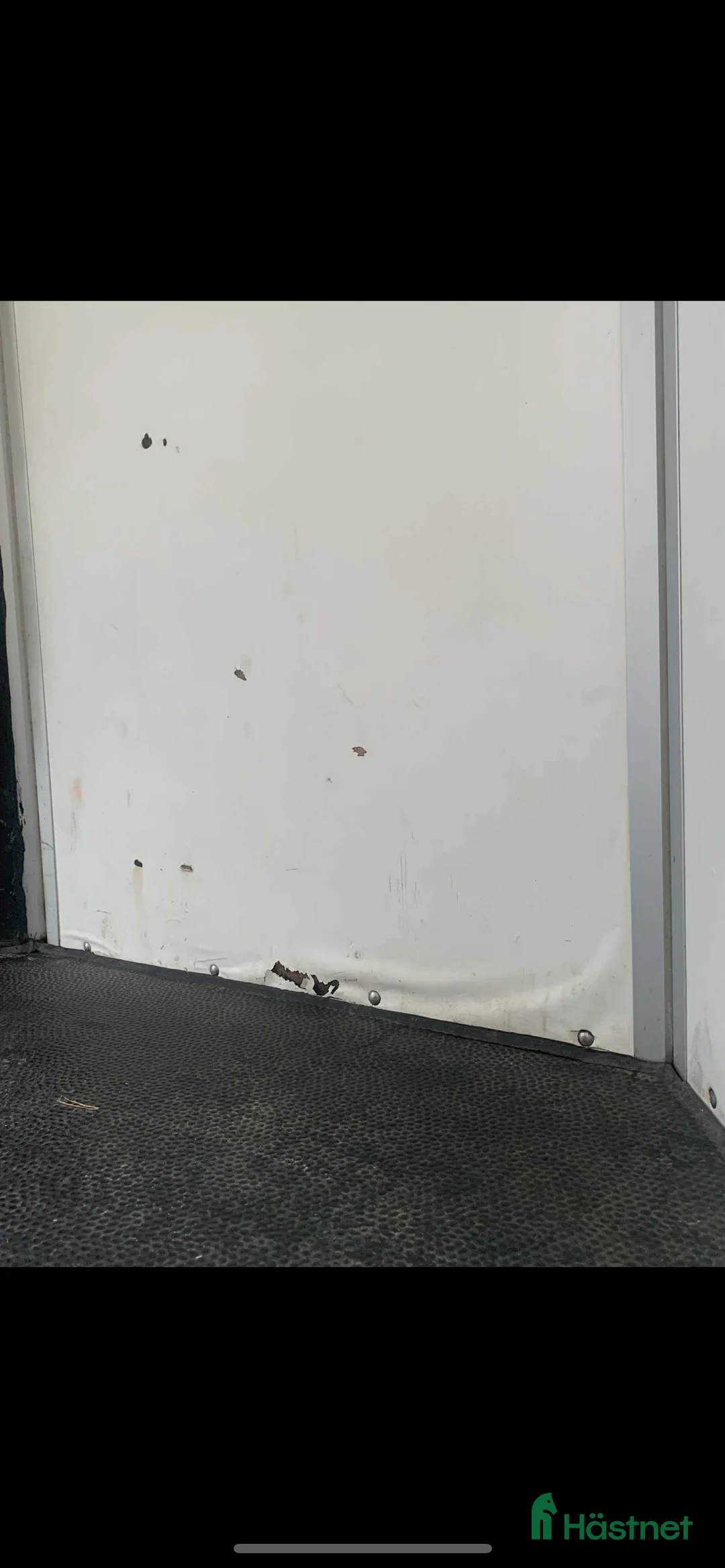 Hästtransporter  fordon & transport till salu: Hästtransport  i Alingsås - Annons 7