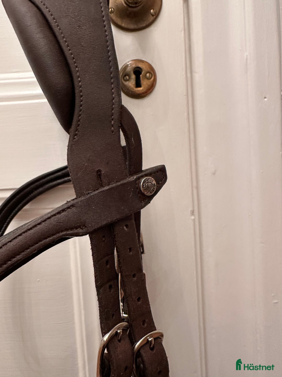 Träns hästutrustning till salu: Antares - precision Y-nosgrimma i Stockholm - Annons 12