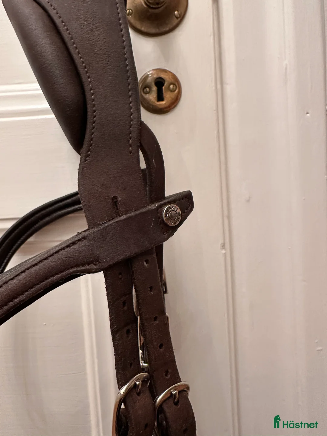 Träns hästutrustning till salu: Antares - precision Y-nosgrimma i Stockholm - Annons 12