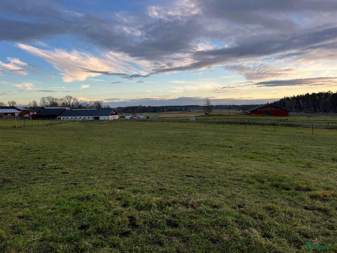  stallplats finnes: Inackorderingar till högklassig anläggning!  i Vaxholm - Annons 4