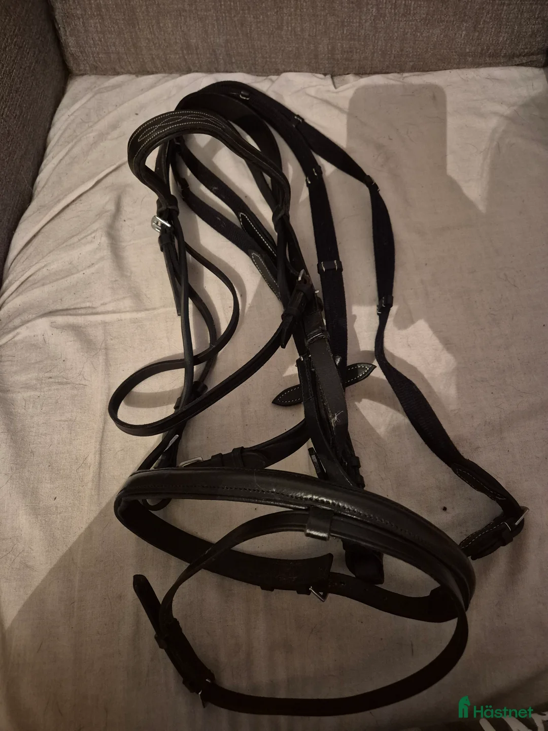 Träns hästutrustning till salu: Träns  i Nybro - Annons 1