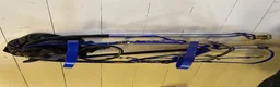 Träns hästutrustning till salu: Classic Biothane Halter Bridle - Annons 2
