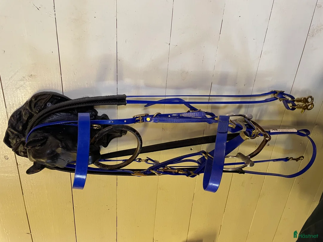 Träns hästutrustning till salu: Classic Biothane Halter Bridle - Annons 2