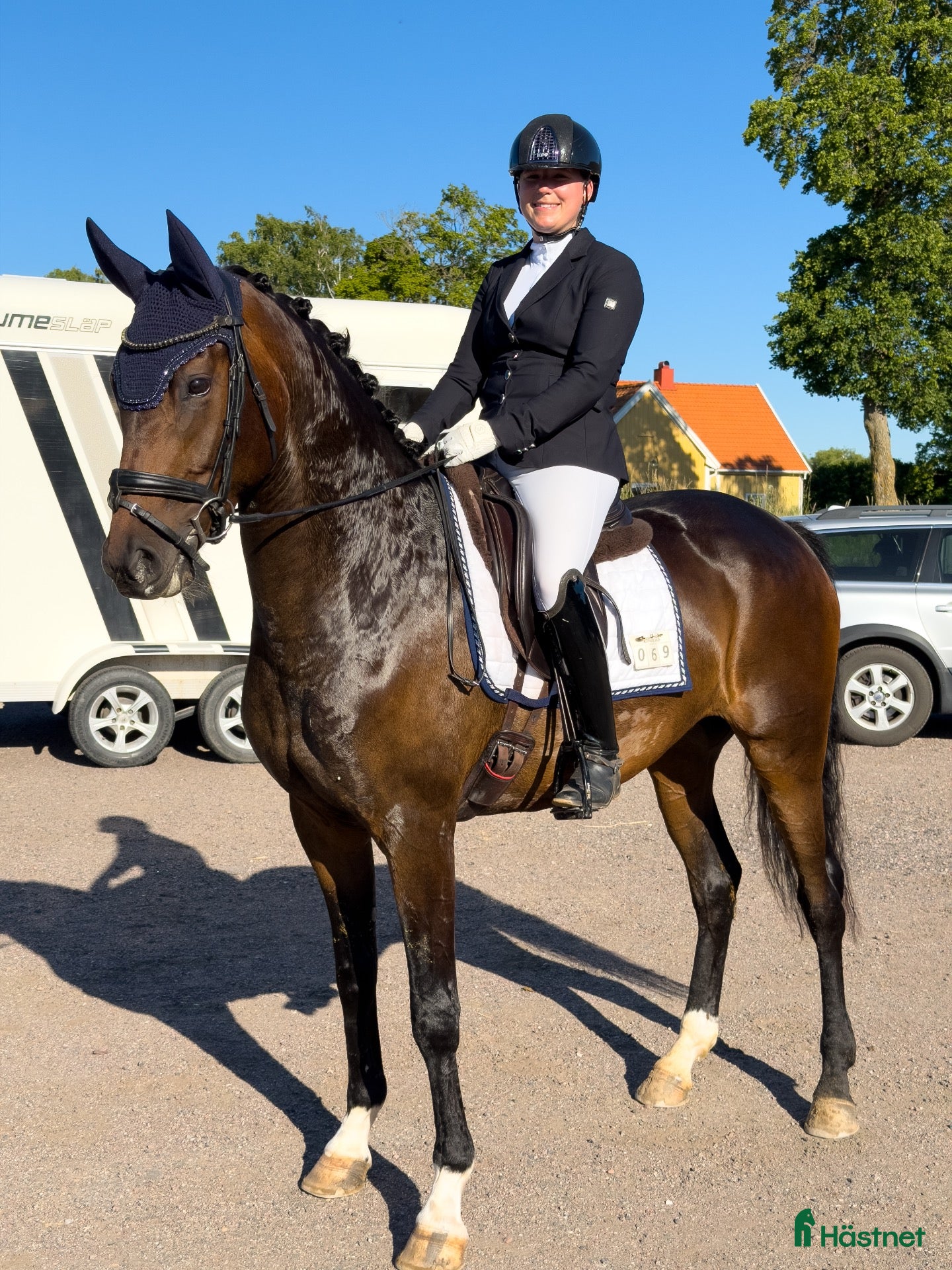  hästar Talangfull 5åring  - Annons 1